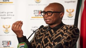 [File Image] Former Sport, Arts and Culture Minister Zizi Kodwa during a media briefing.