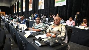 Members of Parliament at the Century City Conference Centre in Cape Town.